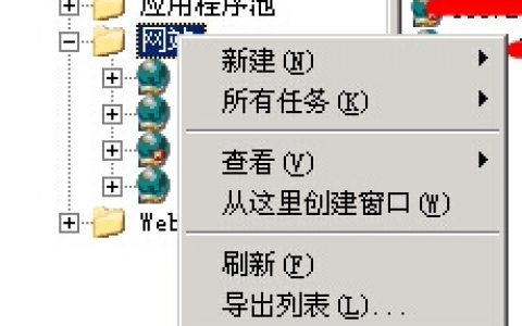 网站上FLV、MP4格式视频无法播放的原因及解决方法（图）