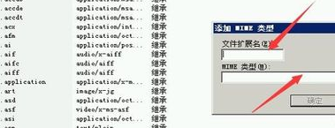 网站上FLV、MP4格式视频无法播放的原因及解决方法（图）