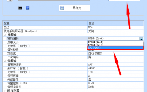 浏览器播放视频时只有声音看不到画面的原因及解决方法（精）