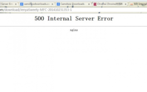 500 Internal Server Error 错误原因及解决方法（图）