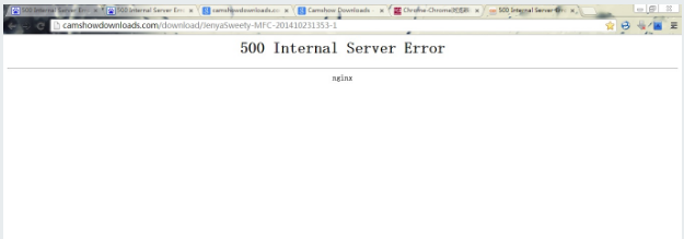 500 Internal Server Error 错误原因及解决方法（图）