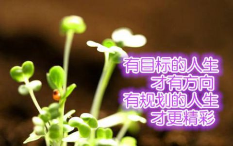 有目标的人和没目标的人！（经典）