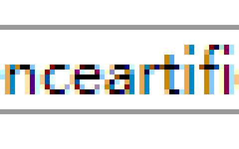 怎么让一长串英文字符自动换行？