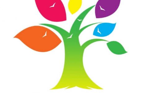 教师发展中心年度工作计划