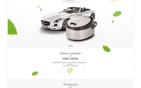 2套简约漂亮的绿色网站页面设计欣赏