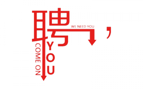 前后端开发、售前、运维、安全工程师招聘-北京数字科技有限公司