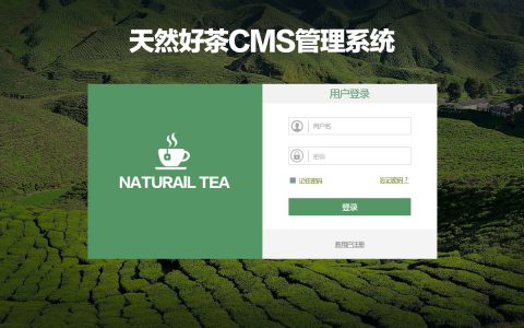 30个精美的后台登录/管理页面设计欣赏
